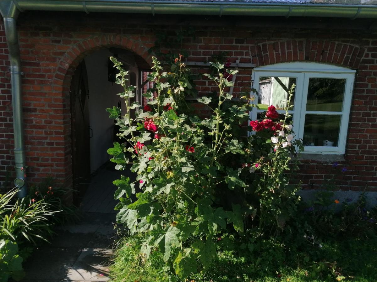 Fw Achterdeck, 1 Obergeschoss, Petershof-Lehbek Apartment Gelting Bagian luar foto